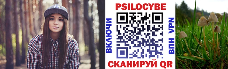 Псилоцибиновые грибы MAGIC MUSHROOMS  Михайловск 